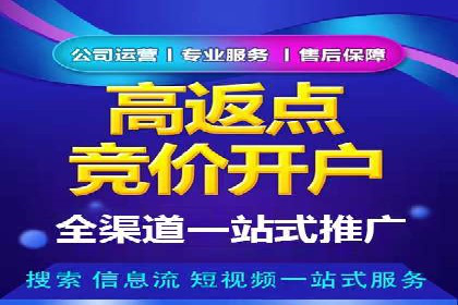 SEM公司案例研究：数据驱动营销策略